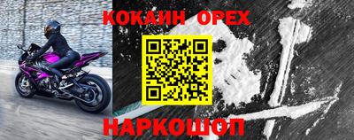 прущие грибы Чебаркуль
