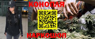прущие грибы Чебаркуль