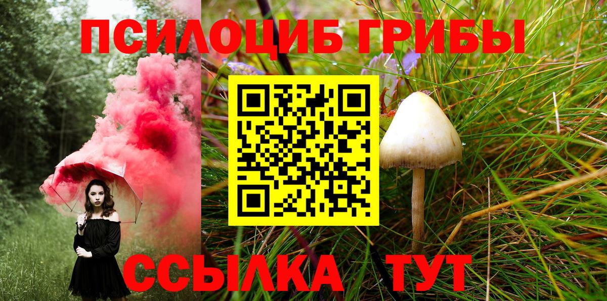 Нефтекумск  Галлюциногенные грибы Psilocybe  Вход с VPN 